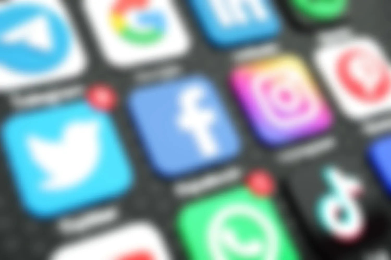 Great Schools and Entertainment